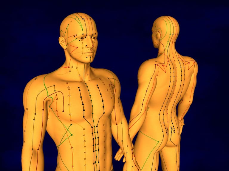 diagram of acupuncture at kent chiro in ottawa